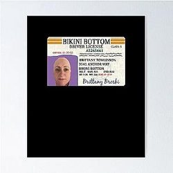 Brittany Broski Bikini Bottom License