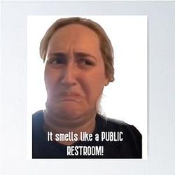 It Smells Like a Public Restroom (TikTok Kombucha Girl Brittany Broski) Poster