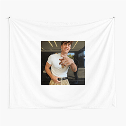 Bryce Hall Charisma and Controversy Vibe Bryce Hall Tapestries