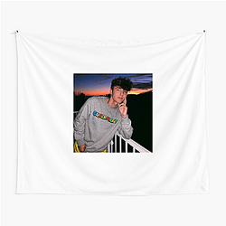 Bryce Hall Influencer Style Bryce Hall Tapestries