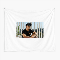 Bryce Hall TikTok Star Aesthetic Bryce Hall Tapestries