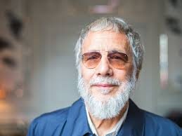 Embrace Nostalgia with Cat Stevens Official Merch for Fans