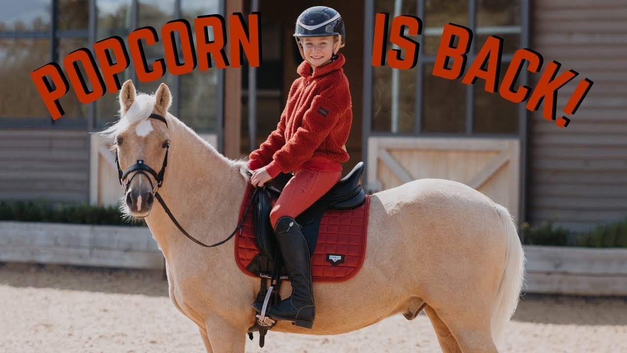 Harlow and Popcorn Merch: Adorable Animal-Inspired Treasures