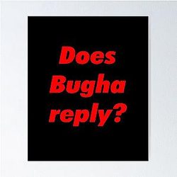 Bugha Replies Poster