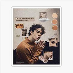 Cameron Boyce sticker