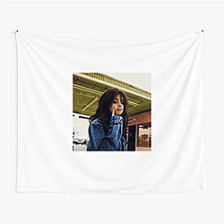 Camila Cabello Unforgettable Vocals Camila Cabello Tapestries