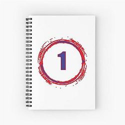 Cam Newton Patriots Notebook