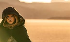 Dune Merch Official Merchandise: Gear Up for an Epic Movie Journey