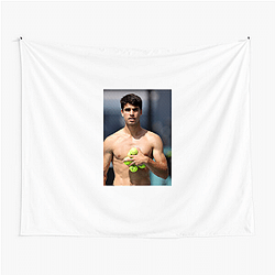 Carlos Alcaraz Wimbledon Champion Carlos Alcaraz Tapestries