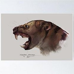 Thylacoleo carnifex : the marsupial lion Poster
