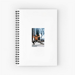 Cash Wheeler Beyond The Ring Cash Wheeler Notebook