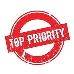 🚨 TOP-PRIORITY Order Processing ⚠️