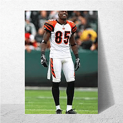 Playmaker Leader Chad Johnson Posters