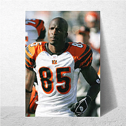 Field General Chad Johnson Posters