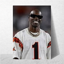 Team Catalyst Chad Johnson Posters