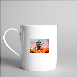 Pocket Strategist Chad Johnson Mugs