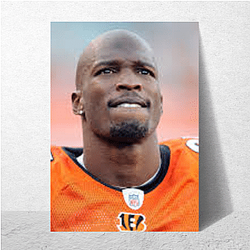 Pocket Strategist Chad Johnson Posters