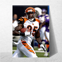 Tactical Mind Chad Johnson Posters