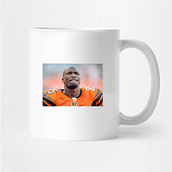 Pocket Strategist Chad Johnson Mugs