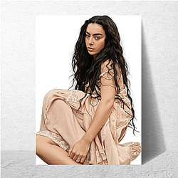 Charli xcx Sympathy Hard truth Charli Xcx Posters