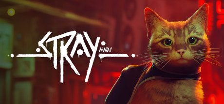 Stray Merch Official Shop: Gear Up for the Movie Experience