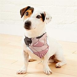 Xcx Mini Skirt Pet Bandanas Premium Merch Store