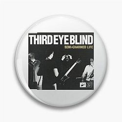 Semi-Charmed Life   Pin