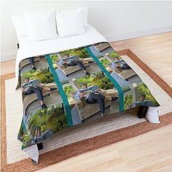 Chayanne Comforter