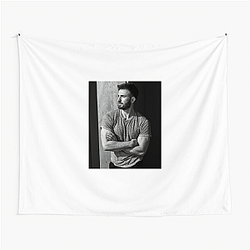 Chris Evans is known for his role as Captain America Chris Evans Tapestries