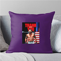 Energizer Fighter Clay Guida Pillows Cover