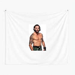Octagon Veteran Clay Guida Tapestries