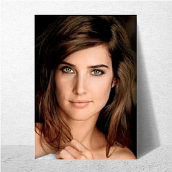 Screen Beauty Cobie Smulders Posters