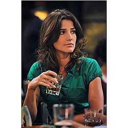 14x21 inch Cobie Smulders Silk Poster