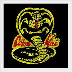 Cobra Kai Posters - Vintage Cobra Kai Retro 80S Poster TP1602