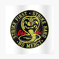 Cobra Kai Posters - Cobra Kai Poster RB1006