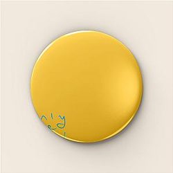 Coldplay LA 1501 - Advocates for environmental sustainability and global social causes Coldplay Pins