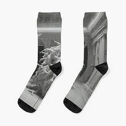 Entangled Reverie: The Web of Collective Souls Socks