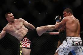 Mirko Cro Cop Official Shop: Gear for the Fierce MMA Legend