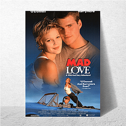Crazy Beautiful received mixed reviews Crazy Beautiful Posters
