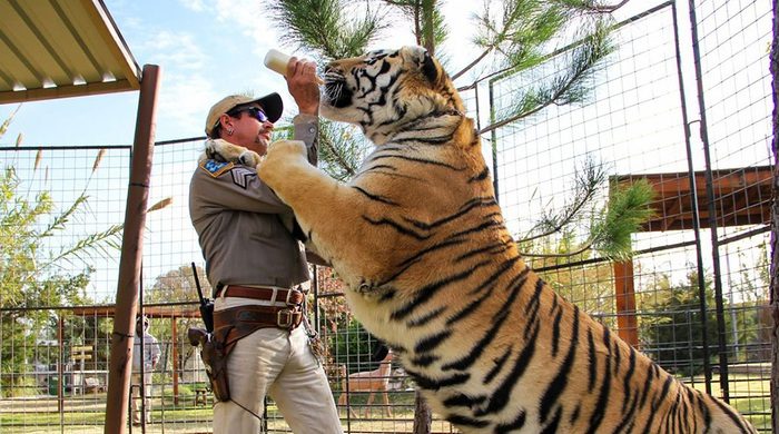 Unleash Your Wild Side with Tiger King Merch!