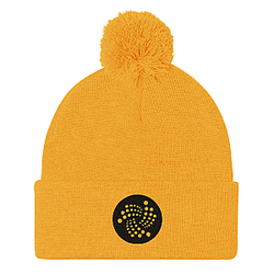 Iota Merch - Logo Pom-Pom Beanie TCP1607