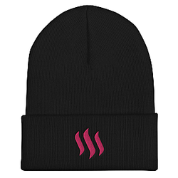 Steem Merch - Cuffed Beanie TCP1607