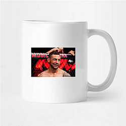 MMA Pioneer Cub Swanson Mugs