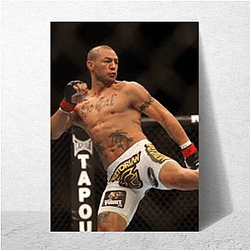 Fight Finisher Cub Swanson Posters