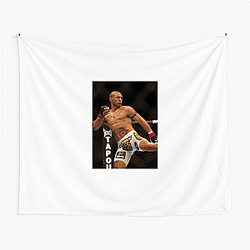 Fight Finisher Cub Swanson Tapestries