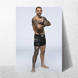 Technical Striker Cub Swanson Posters