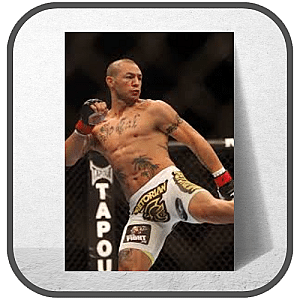 Cub Swanson Posters