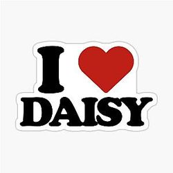 Daisy Jones & the Six Aesthetic I Love Daisy Merch Sticker