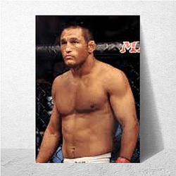 Dan Henderson merch collection Dan Henderson Posters