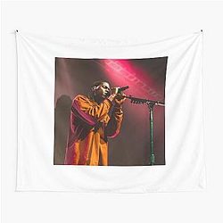 Daniel Caesar Concert Singing Aesthetic Print Tapestry